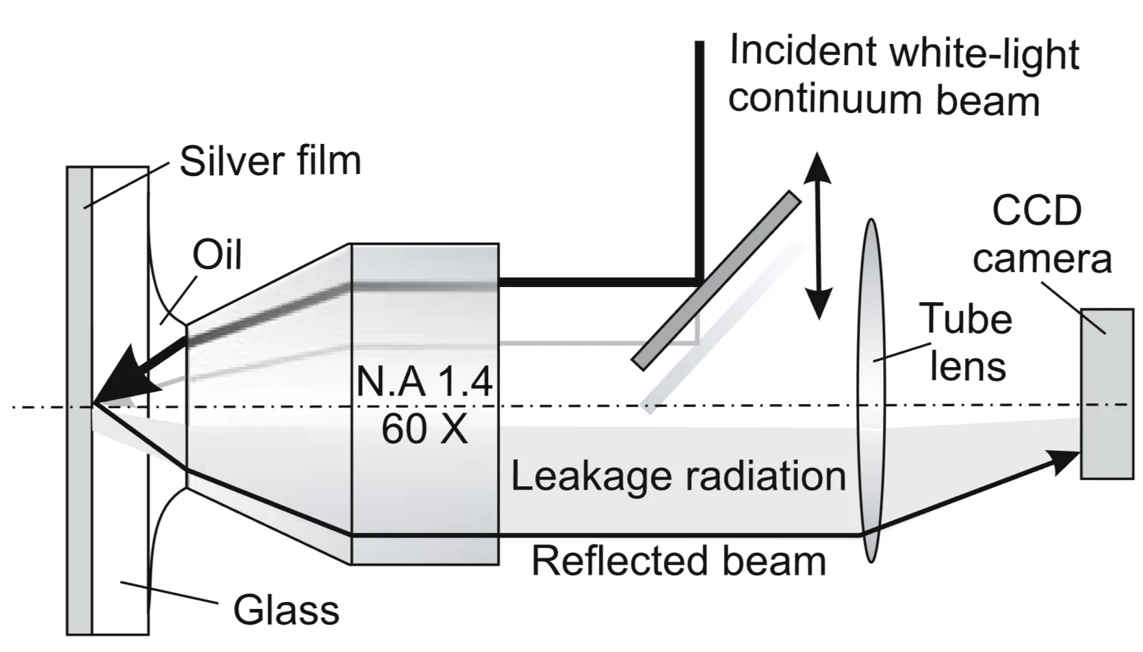 Attachments/Plasmonics - Fundamentals and Applications 14.webp|700