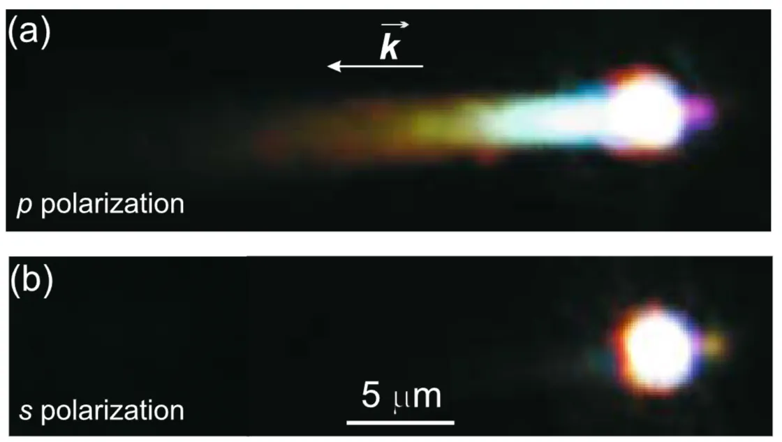 Attachments/Plasmonics - Fundamentals and Applications 15.webp|700