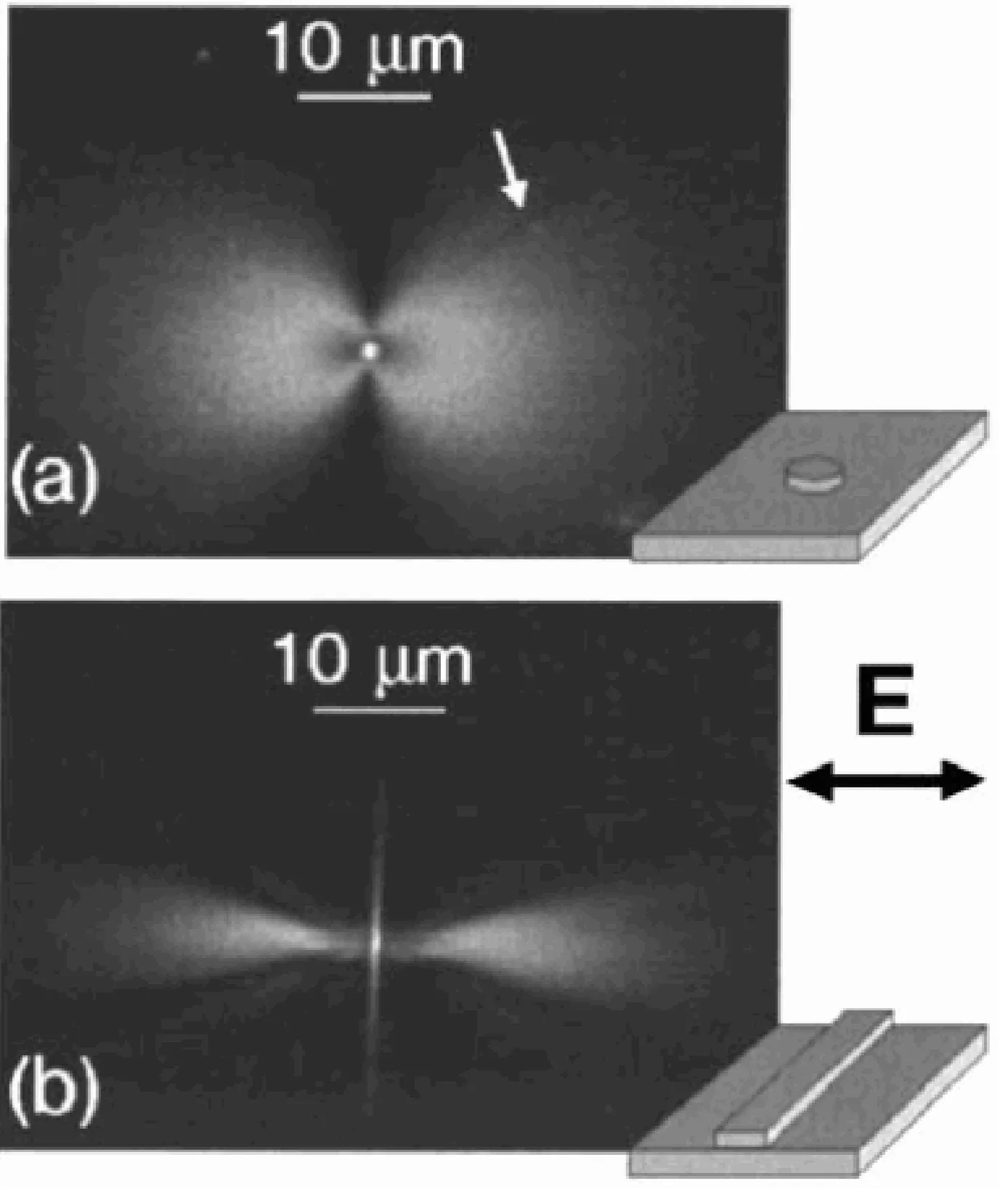 Attachments/Plasmonics - Fundamentals and Applications 18.webp|700