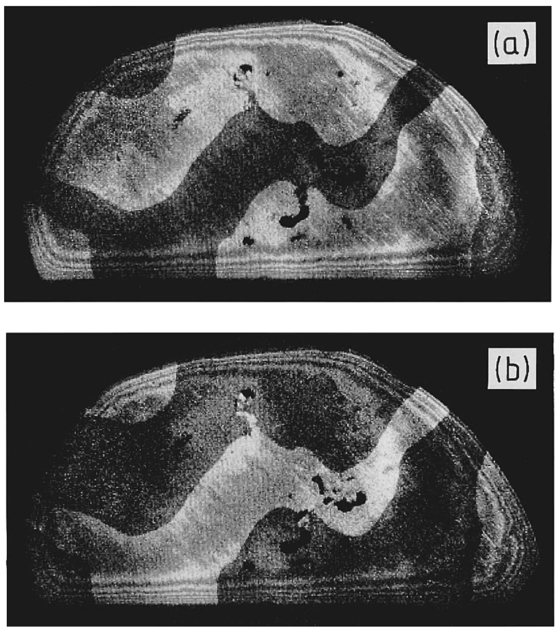 Attachments/Script (Unofficial) 11.webp|700