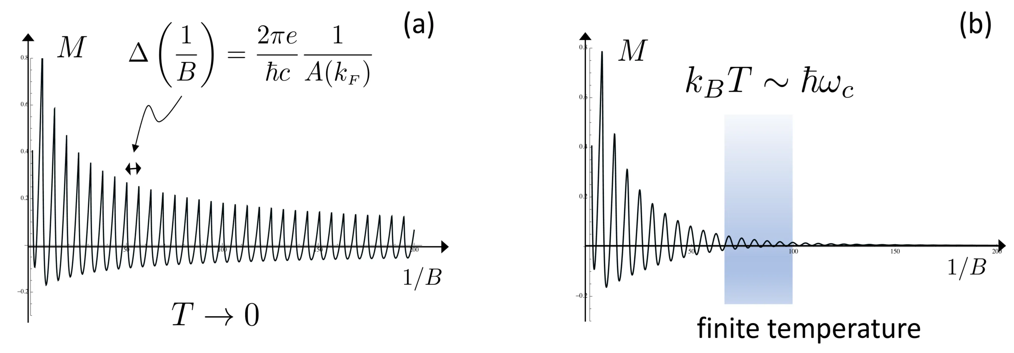 Attachments/Script 39.webp|700
