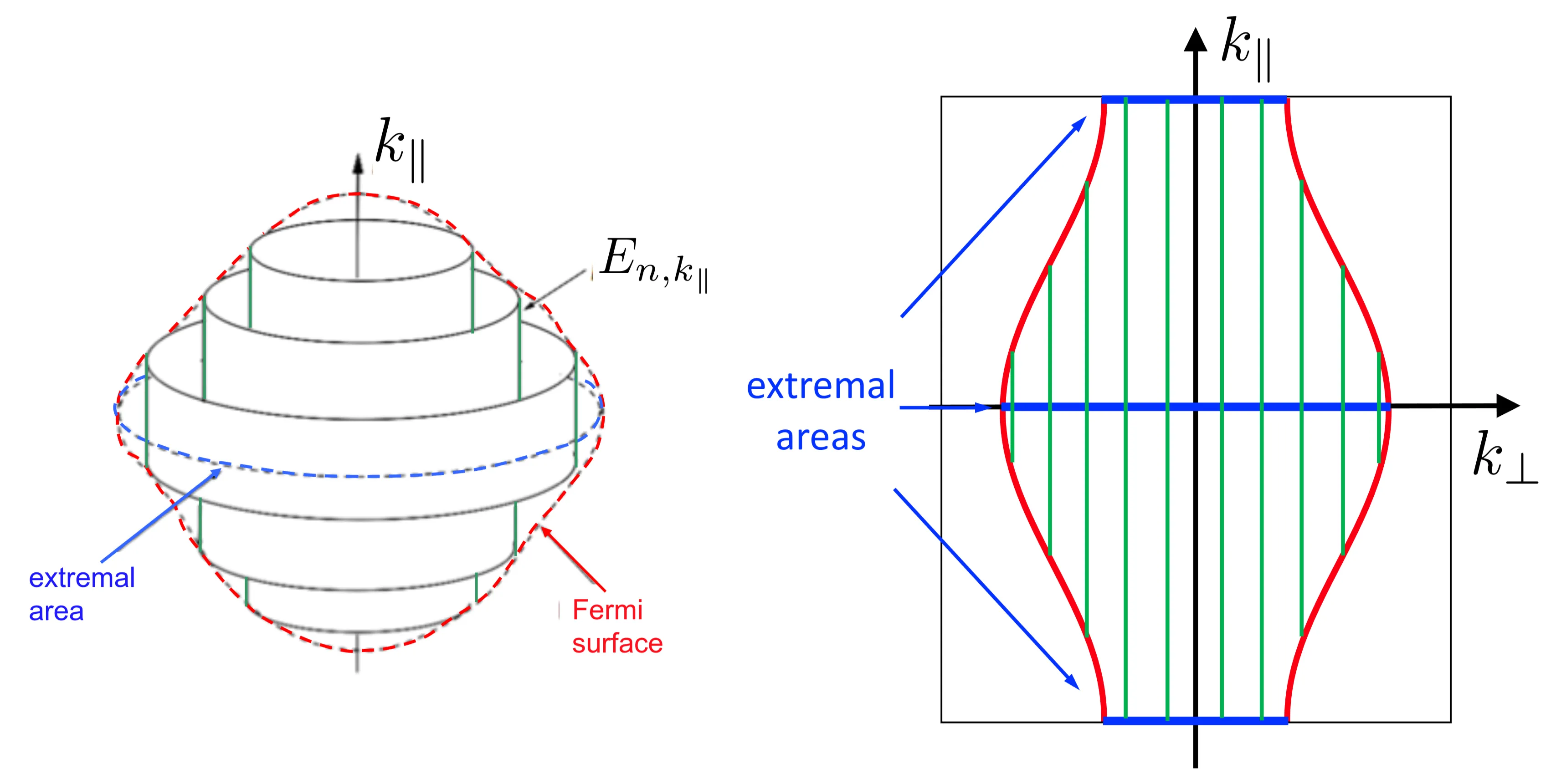 Attachments/Script 40.webp|700